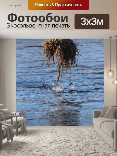Фотообои Река