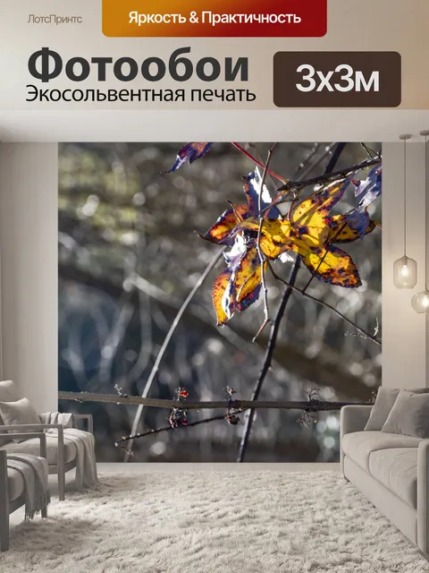 Фотообои Осенний лист