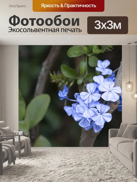 Фотообои Синие цветы