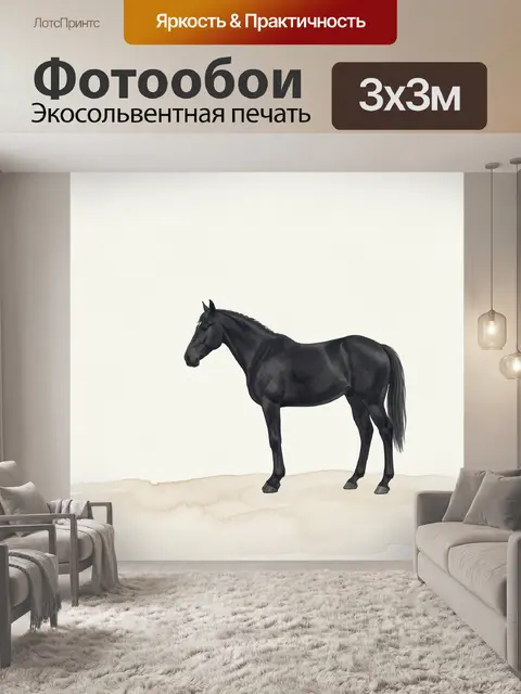 Фотообои Черная лошадь в профиль