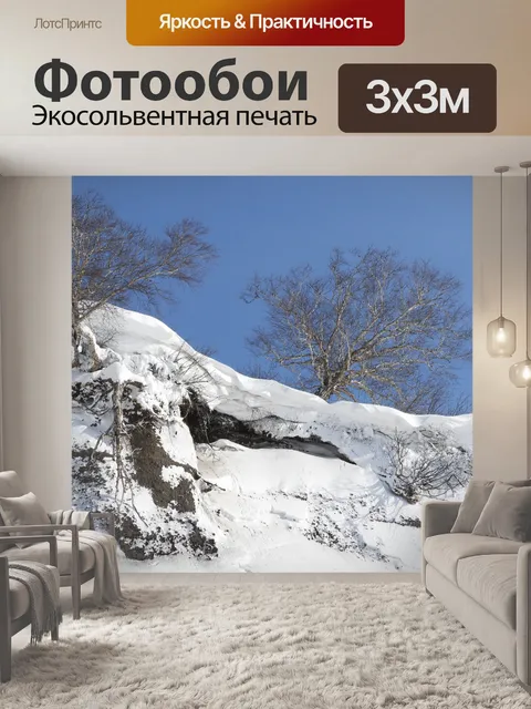 Фотообои Лес