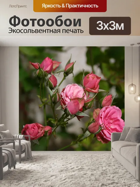 Фотообои Розы