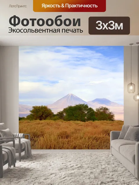 Фотообои Чили