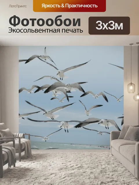 Фотообои Чайки