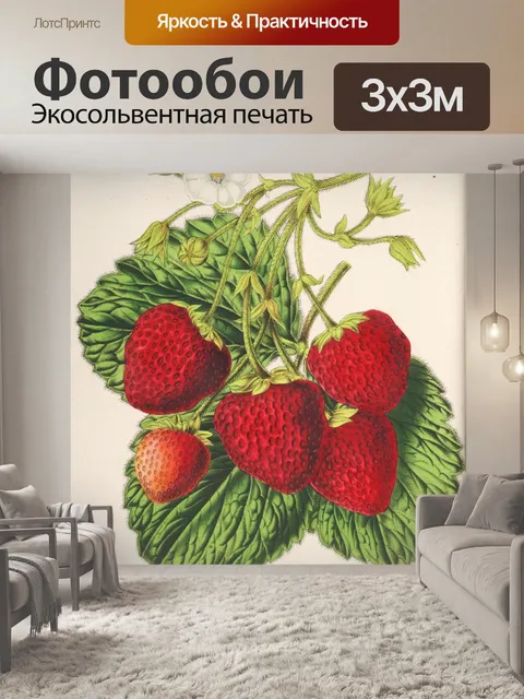 Фотообои Клубника с фруктами винтажного искусства