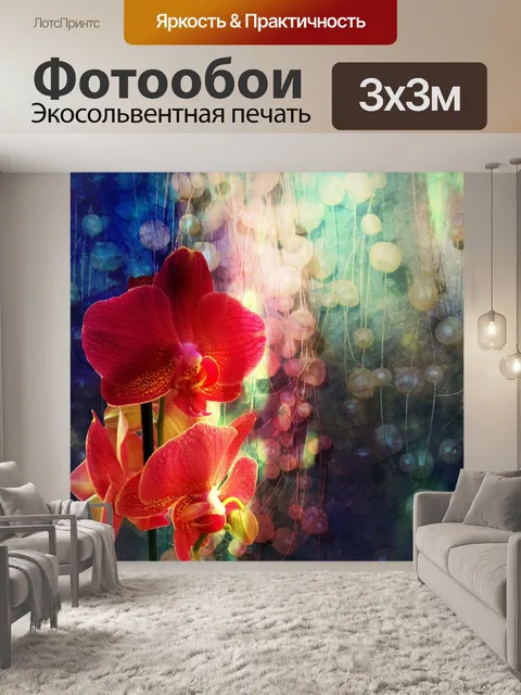 Фотообои Орхидея