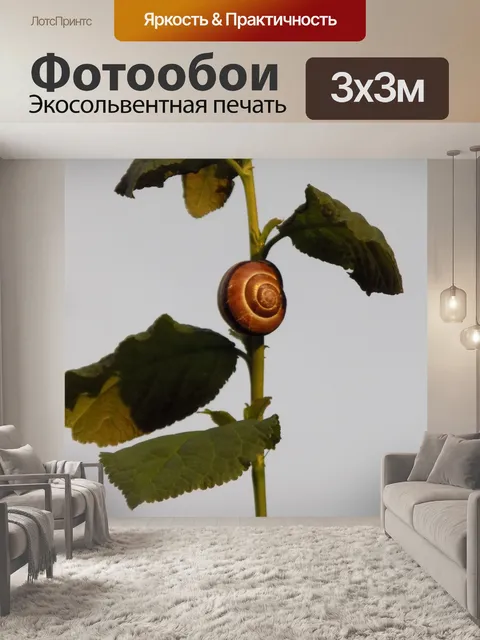 Фотообои Улитка