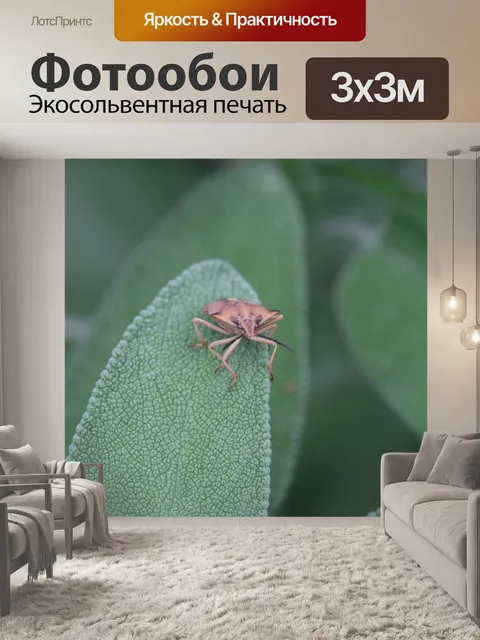 Фотообои Фрукт черепашка