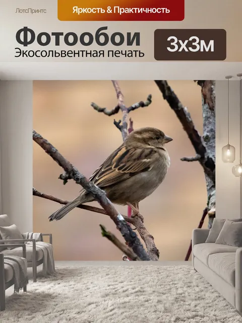 Фотообои Воробей