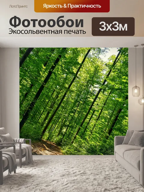 Фотообои Лес