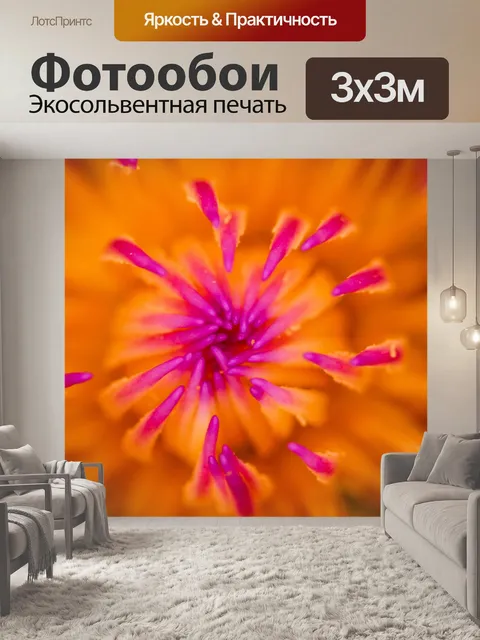 Фотообои Красивый цветок лотоса кувшинки