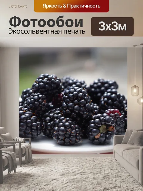 Фотообои Ежевика
