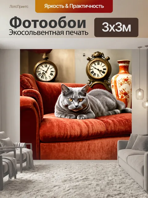 Фотообои серый кот лежит на роскошном бархатном диване