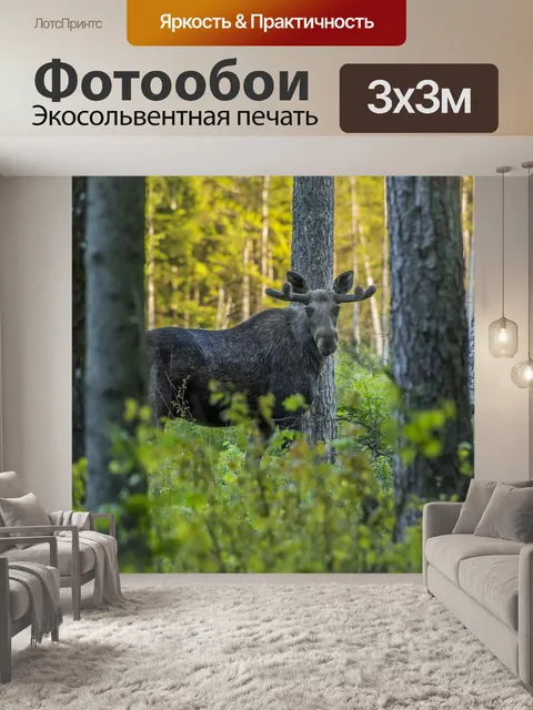 Фотообои Лось