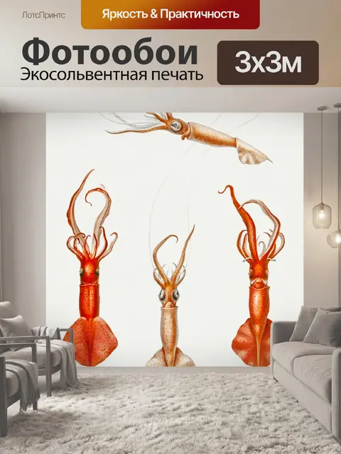 Фотообои Кальмар Octopus Octopus Vintage