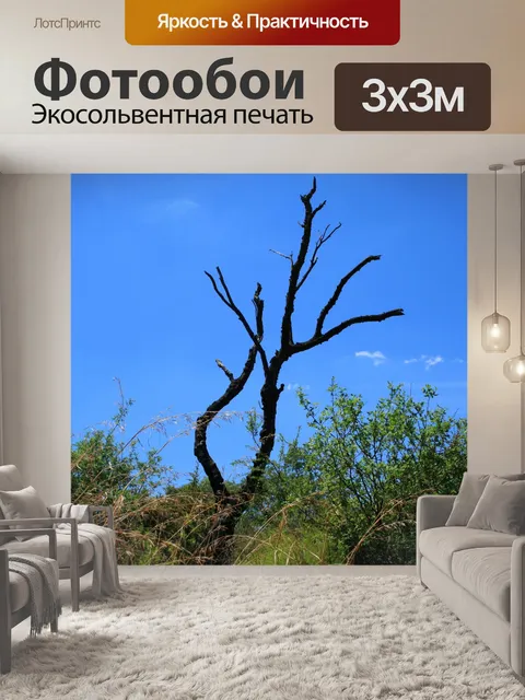 Фотообои Мертвое дерево в степь