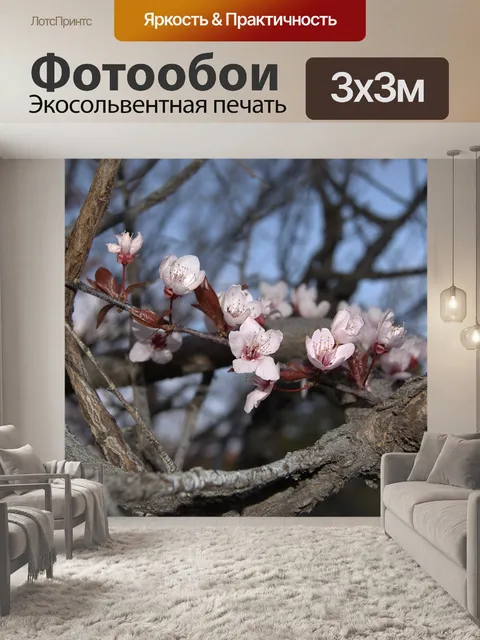 Фотообои Розовый