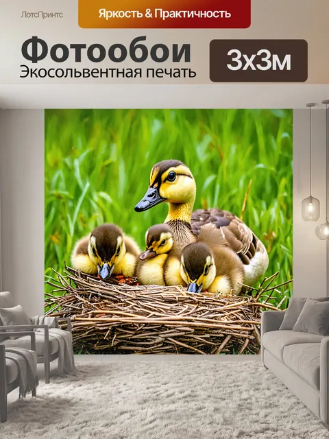Фотообои гусак, исследующий окрестности своего гнезда, молодые ребята гусей нежно смотрят из уютного укрытия