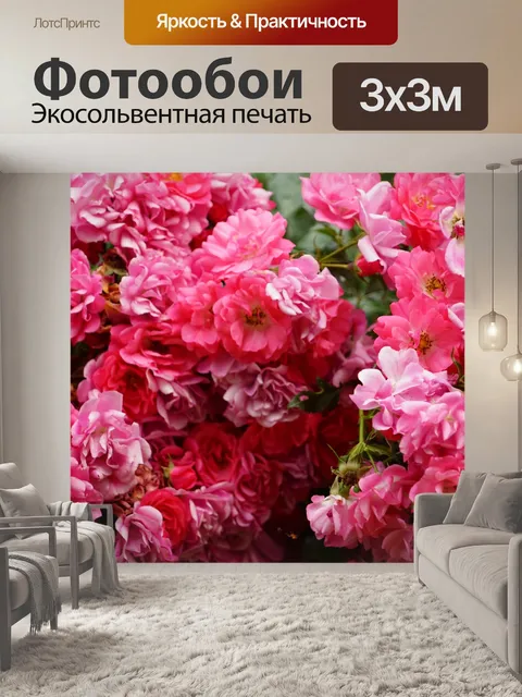 Фотообои Роза в цвету