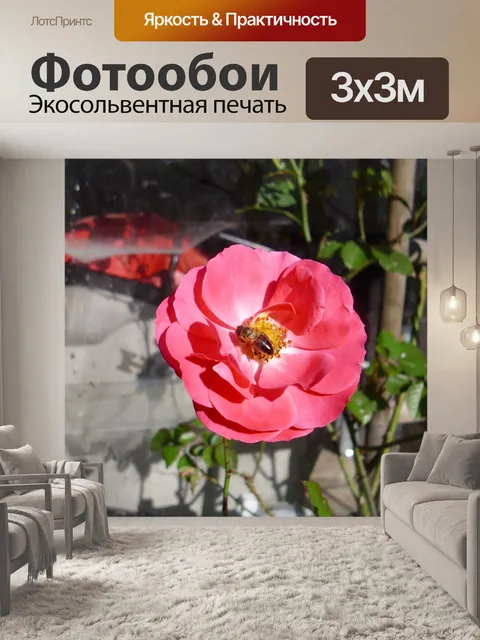 Фотообои Роза