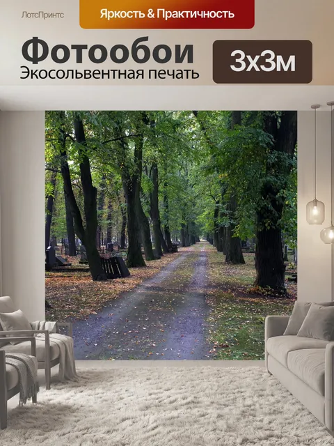 Фотообои Аллея