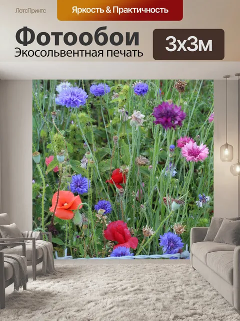 Фотообои Полевые цветы Красный мак Фиолетовый