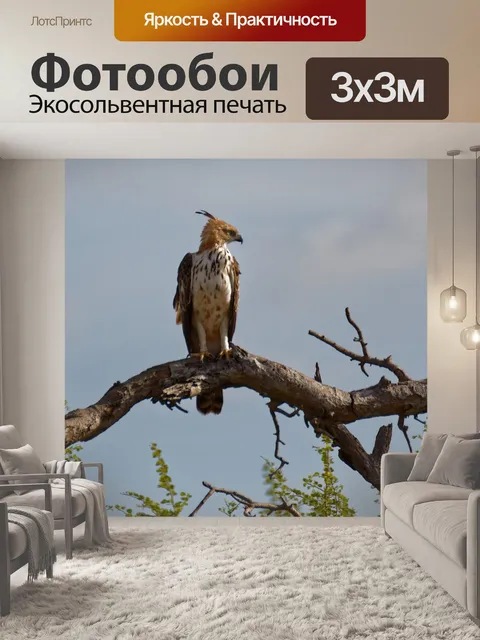 Фотообои Птица