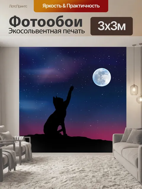Фотообои Кошка звезда небо луна