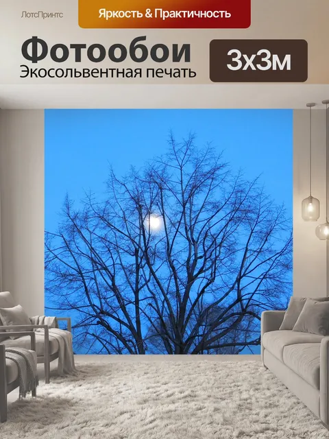 Фотообои Синий