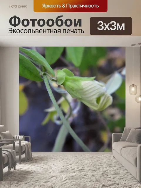 Фотообои Белый цветок 3
