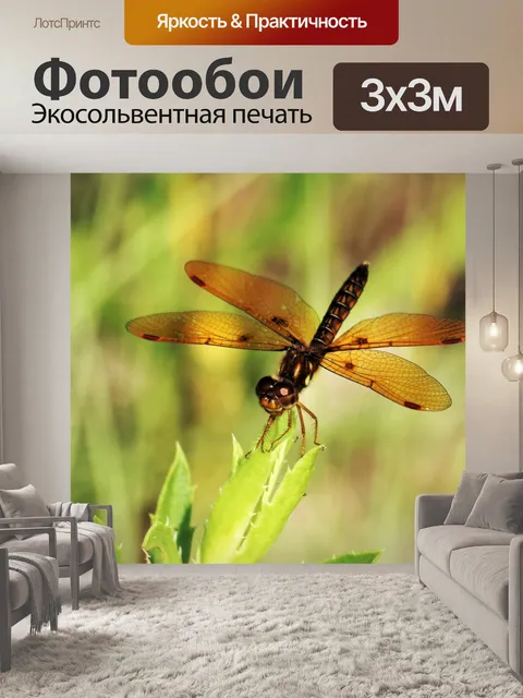 Фотообои Янтарнокрылая стрекоза крупным планом