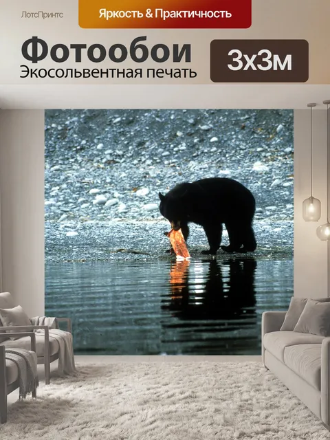 Фотообои Черный медведь