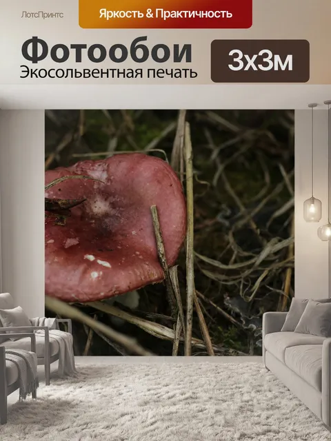 Фотообои Дикий Коричневый Красный гриб Мосс