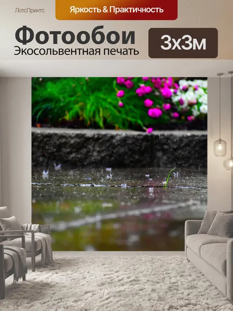 Фотообои Дождь