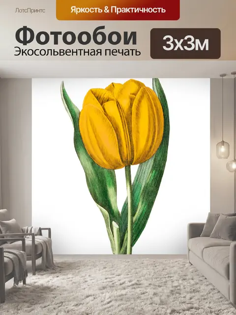 Фотообои Цветок тюльпан желтый Клипарт