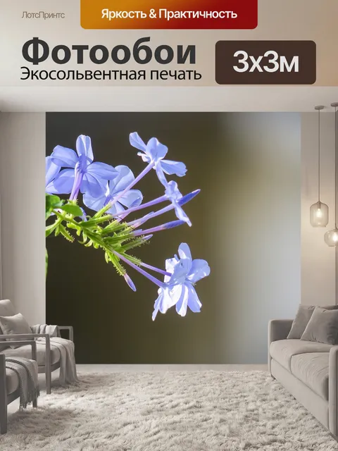 Фотообои Голубой цветок дэн