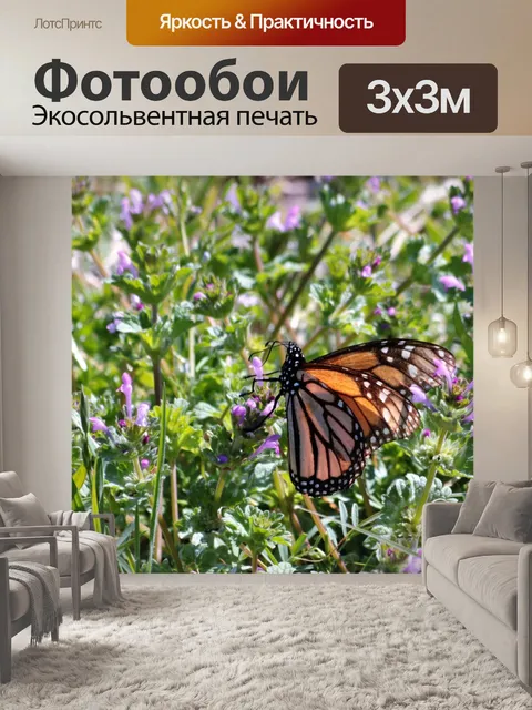 Фотообои Монарх Баттерфляй на фиолетовый Хенбит