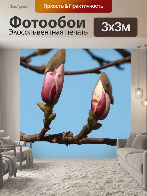 Фотообои Магнолия