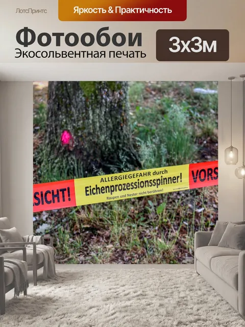 Фотообои Дубовая моль