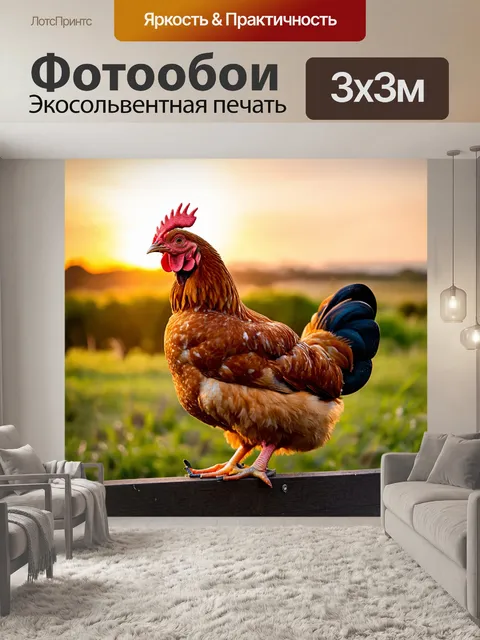 Фотообои курица с веселым выражением на лице, сидящая на заборе, с пейзажем солнечного заката на фоне