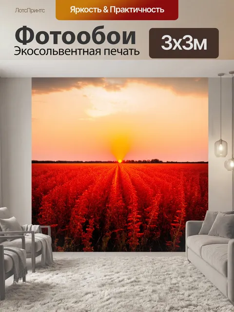 Фотообои поле, где встречаются закат и восход, пронзая красными и оранжевыми оттенками, обрамляя хаос природы
