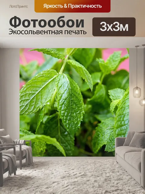 Фотообои Мята