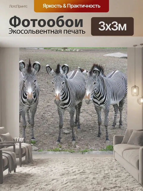 Фотообои Зебры