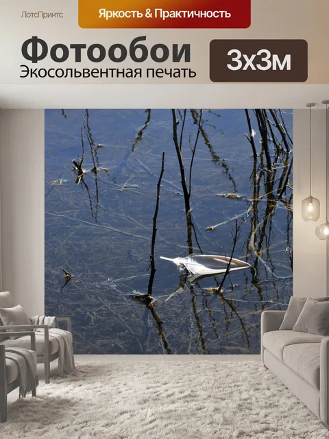 Фотообои Плавающие перо