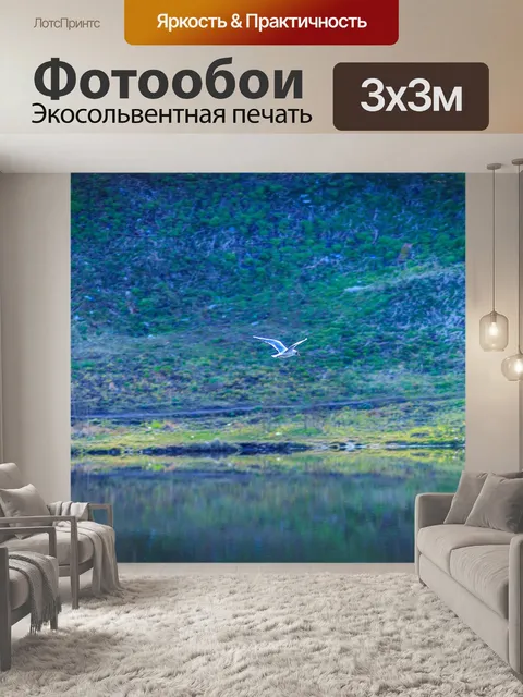 Фотообои Bird