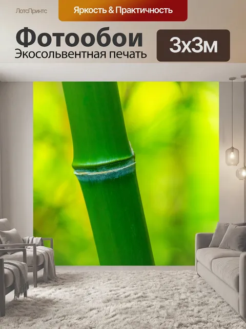 Фотообои Зеленая бамбуковая деталь