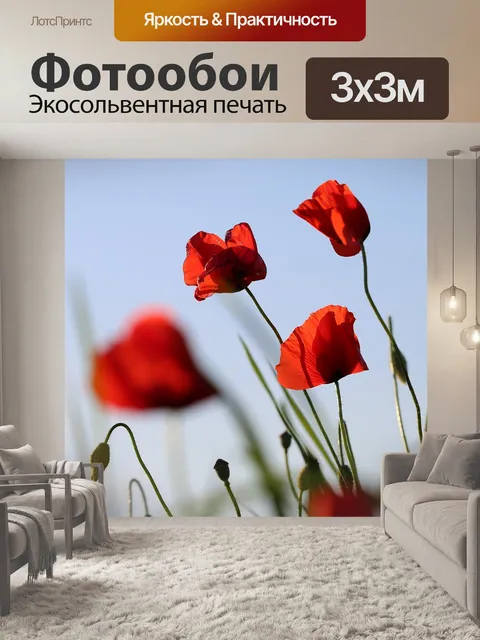 Фотообои Красный букет маков