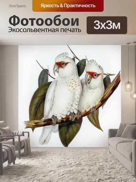 Фотообои Попугай какаду птица винтаж