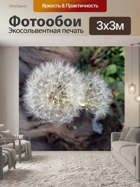 Фотообои одуванчики