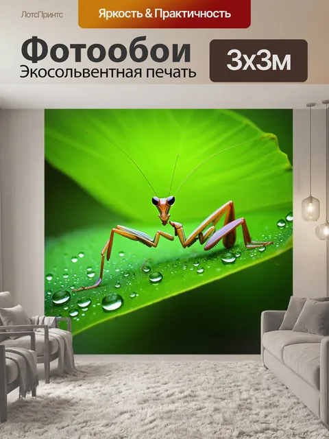 Фотообои изображение величественного богомола, сидящего на ярко-зеленом листе, окруженного каплями росы